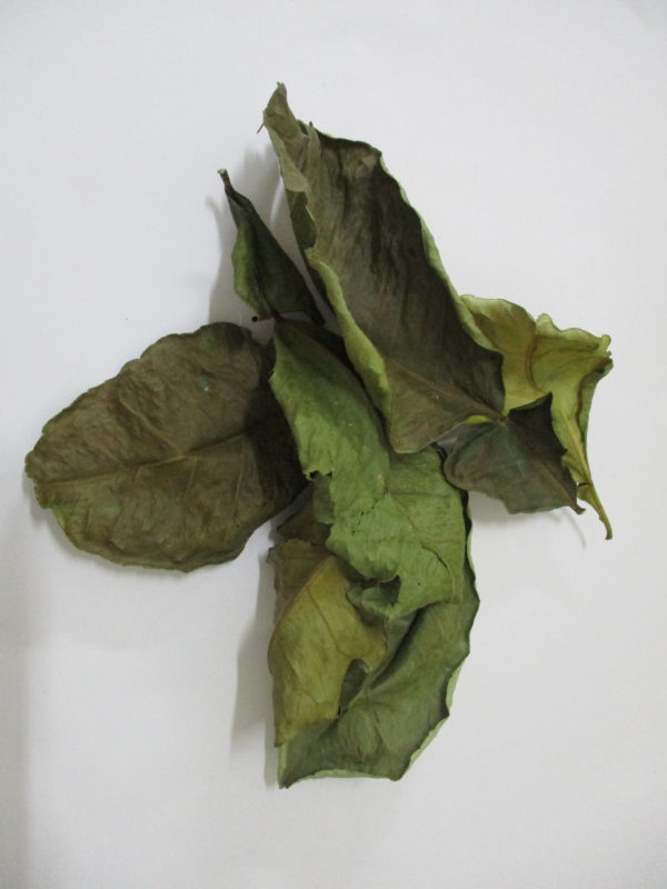 Organic Dried Pomelo Leaves BioPhap